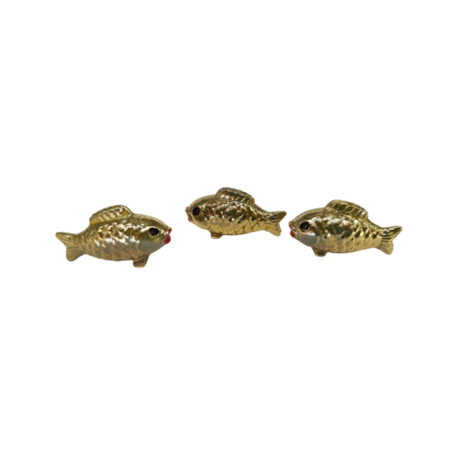 Goldfisch (VPE 24)