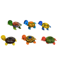 Glasschildkröte  (VPE 6)