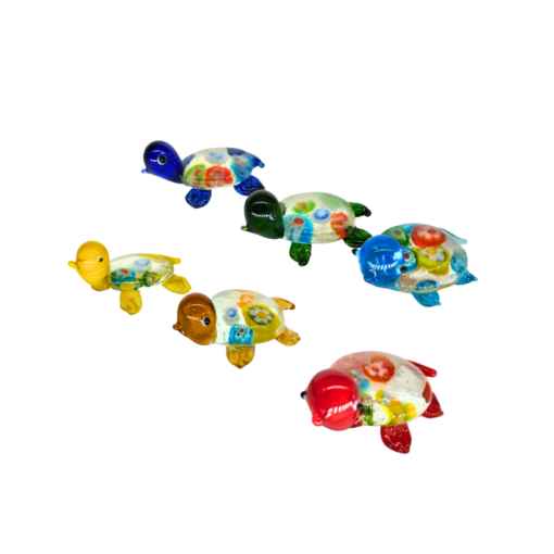 Glasschildkröte (VPE 6)