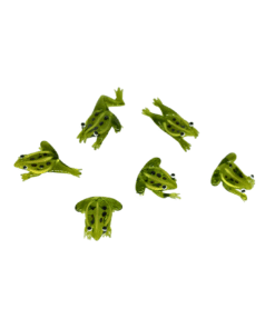 Glasfrosch, grün (VPE 6)