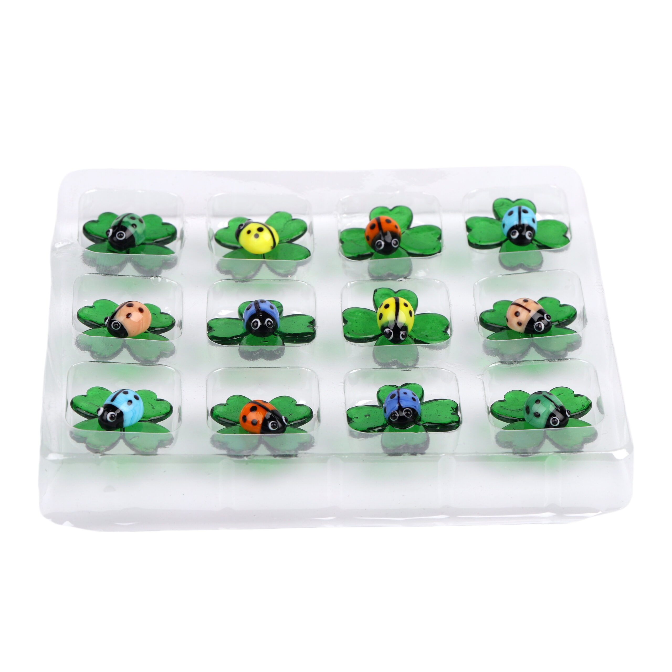 Glasmarienkäfer, färbig auf Glasklee (VPE 12)