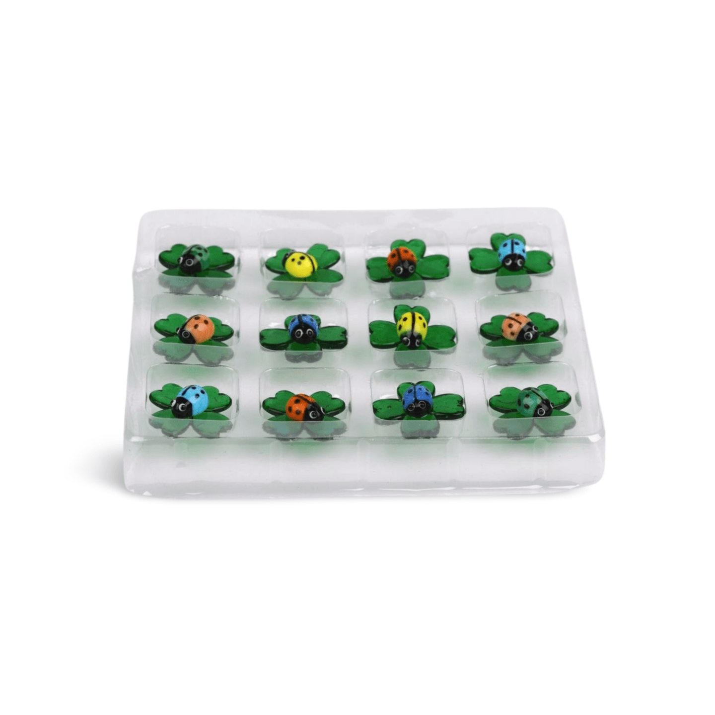 Glasmarienkäfer, färbig auf Glasklee (VPE 12) – Bild 3