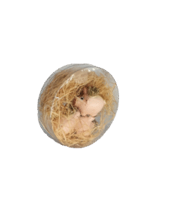 Alternative view of Schweinchen mit Krone (VPE 3)