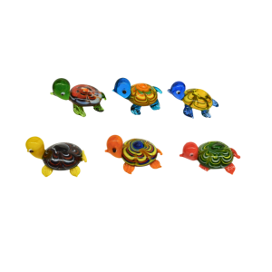 Glasschildkröte (VPE 6)