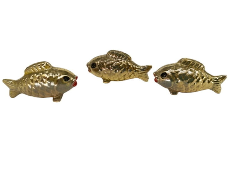 Goldfisch (VPE 24)