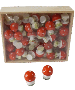 Fliegenpilz (VPE 48)