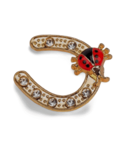 Metalltalis Hufeisen mit Marienkäfer, Magnet (VPE 50)