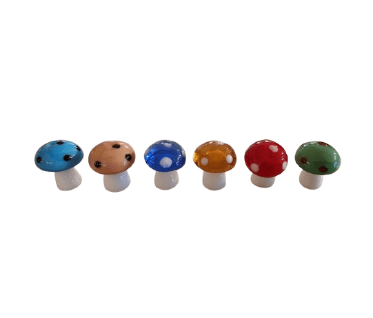 Glaspilz färbig (VPE 48)