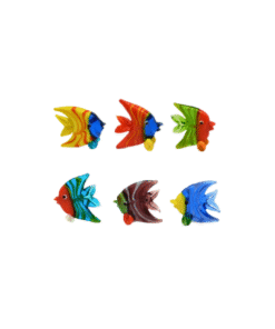 Glasdiscusfisch (VPE 6)