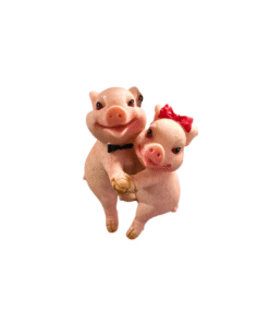 2 Schweinchen tanzen (VPE 9)