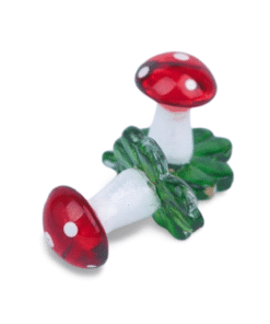 Glaspilz am Klee  (VPE 12)