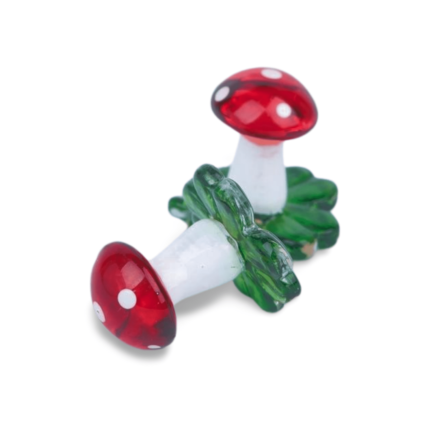 Glaspilz am Klee (VPE 12)